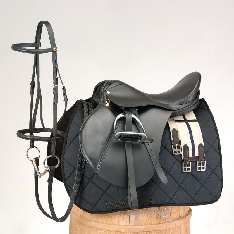 Black all purpose saddle with bridle and accessories on display.