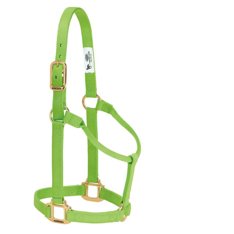 Weaver Original Nylon Halter LRG Lime Zest