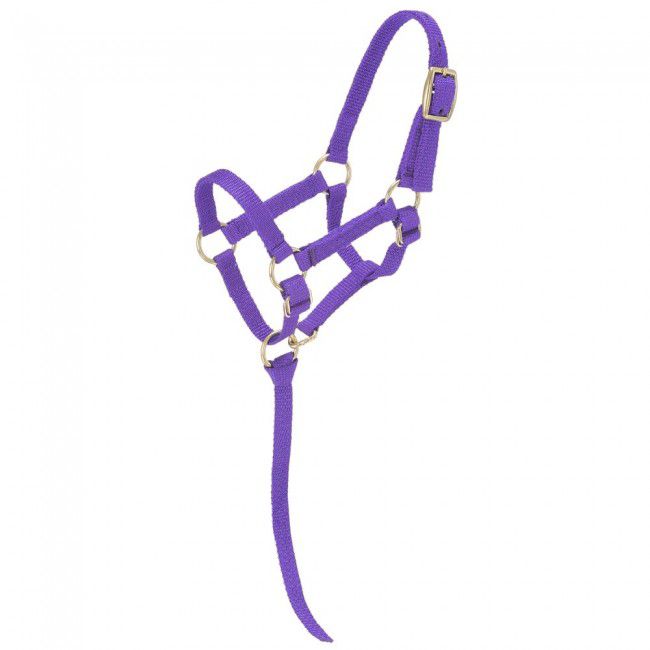 Tough1 Miniature Nylon Halter Sm Purple