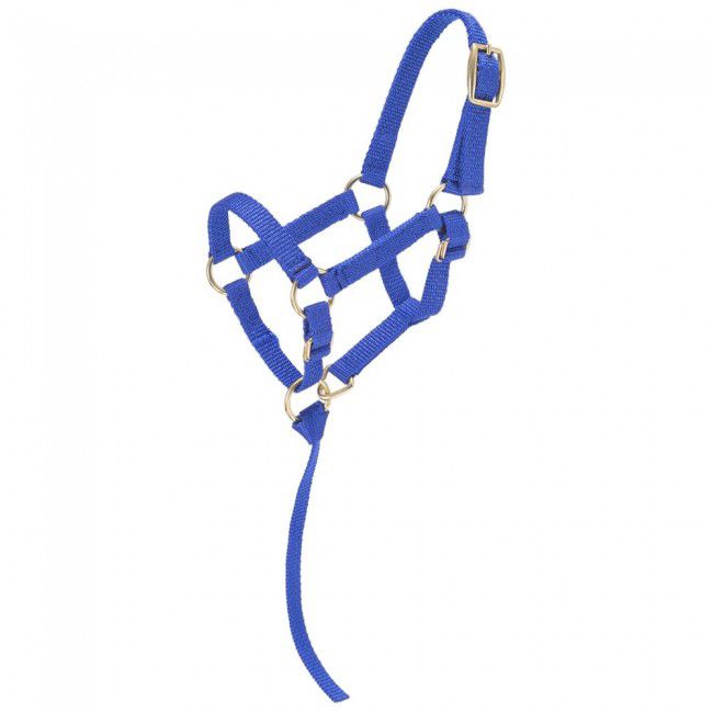 Tough1 Miniature Nylon Halter Sm Purple