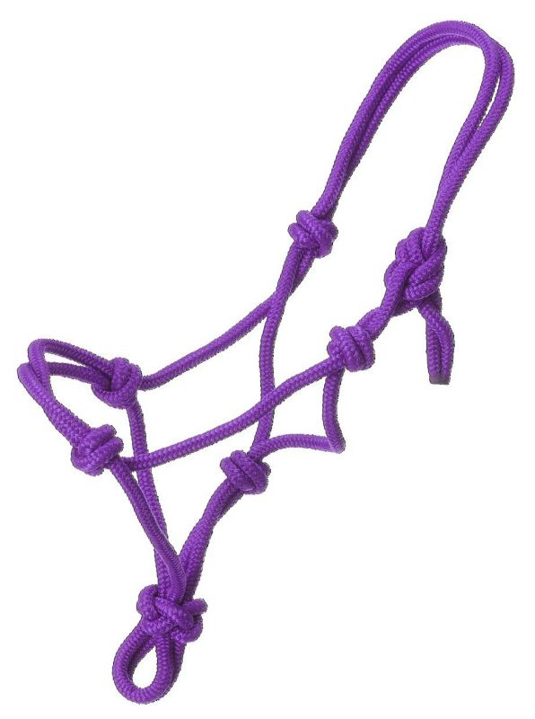 Purple rope halter with multiple knots for horse handling.