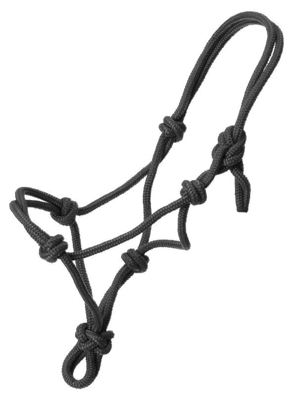 Black rope halter with several adjustable knots and loops.