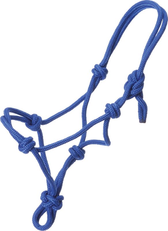 Blue rope halter with multiple knots and loops.