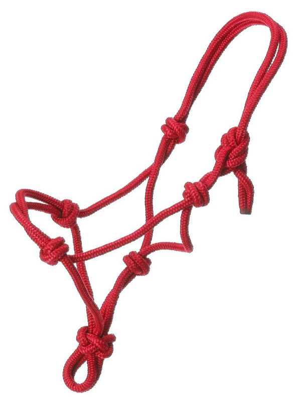 Red rope halter with multiple knots, set against white.