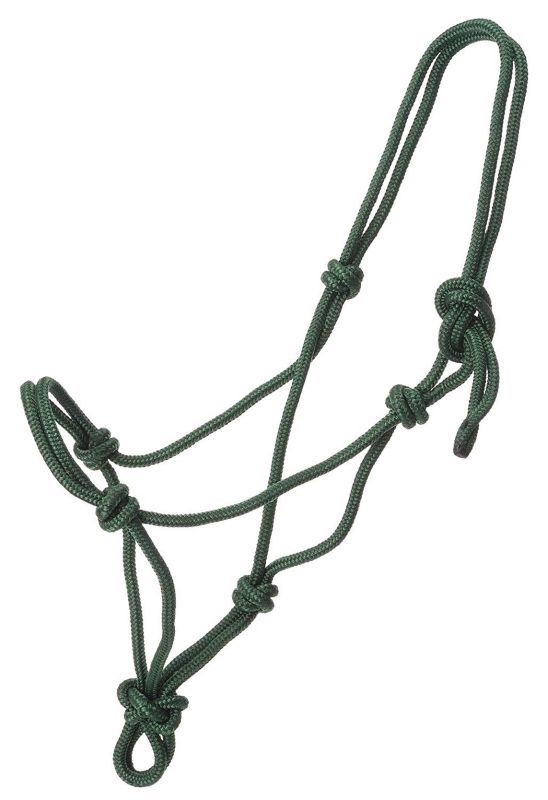 Green rope halter with multiple knots and a looped end.