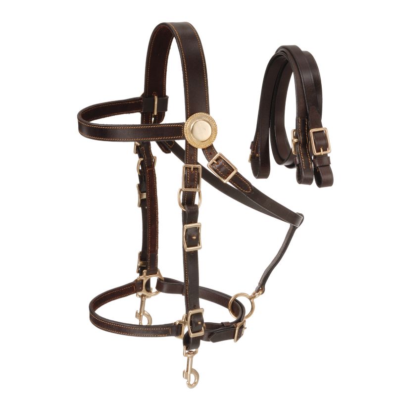 Australian Outrider Deluxe Western Bridle w/Reins Brown