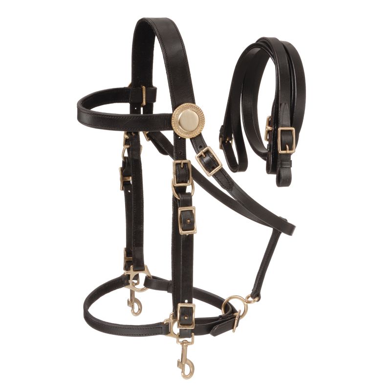 Australian Outrider Deluxe Western Bridle w/Reins Brown