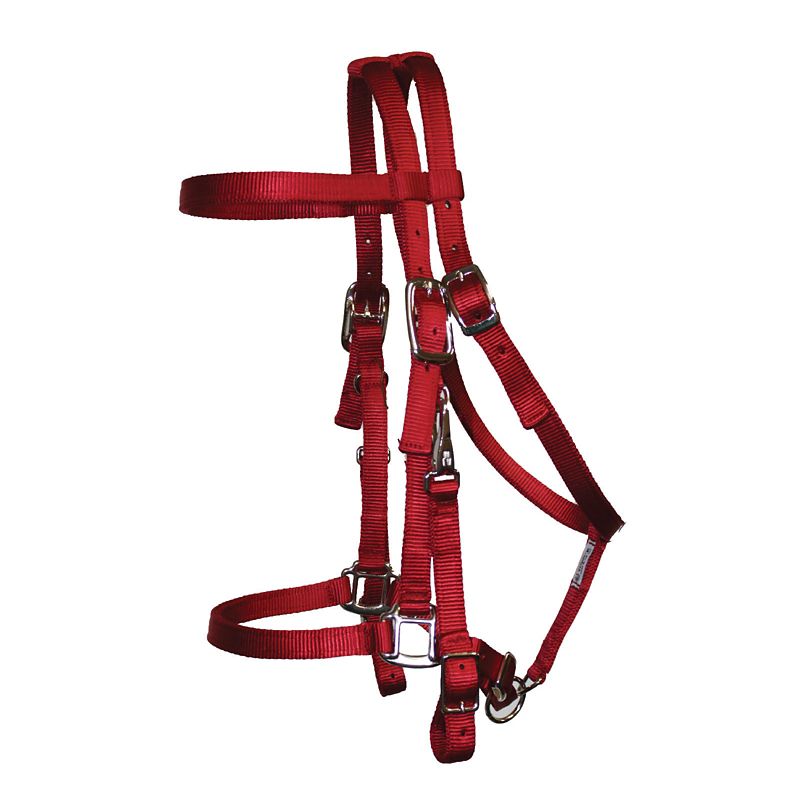 Triple E Nylon Halter Trail Bridle Red