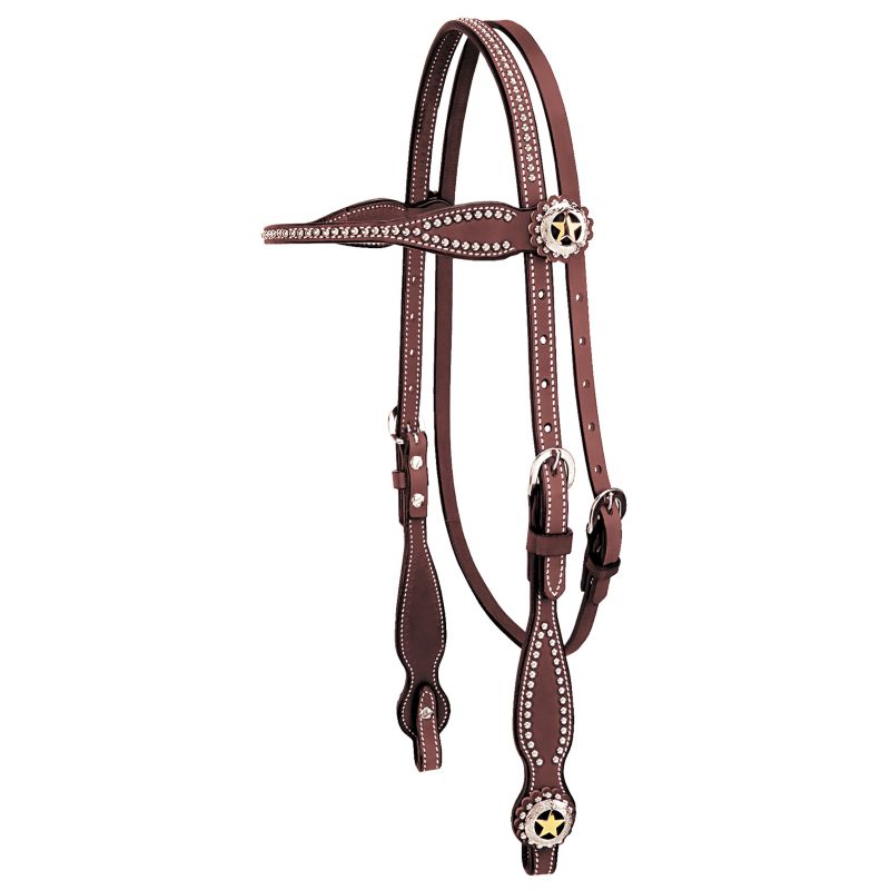 Decorative brown English bridle with silver star embellishments.