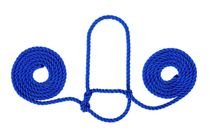 Blue rope halter with two coiled ends, white background.