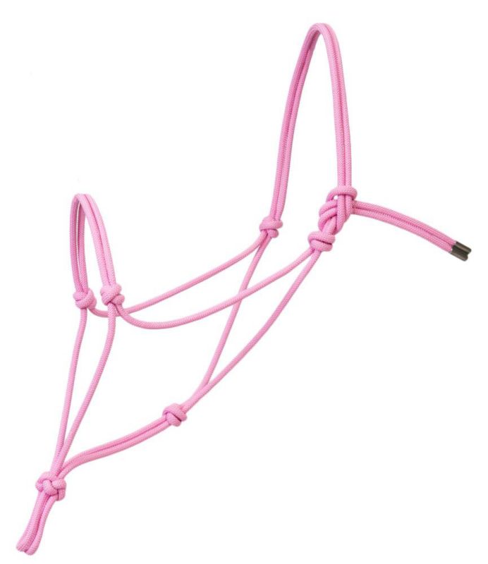 Pink rope halter with adjustable knots and simple design.