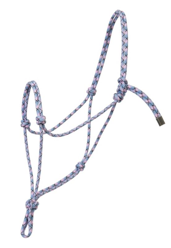 Colorful, knotted rope halter with blue and pink pattern.