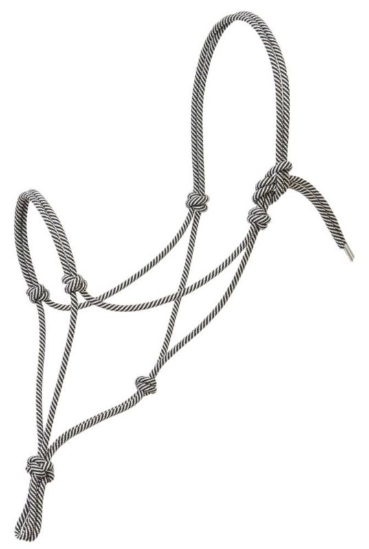 Black and white rope halter with multiple knots visible.