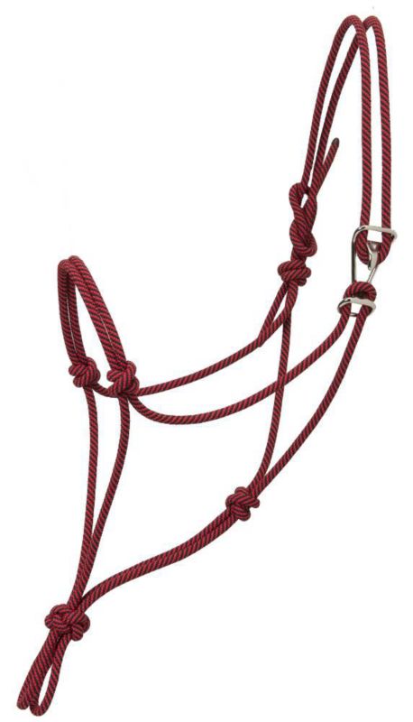 Red and black braided rope halter with adjustable knots.