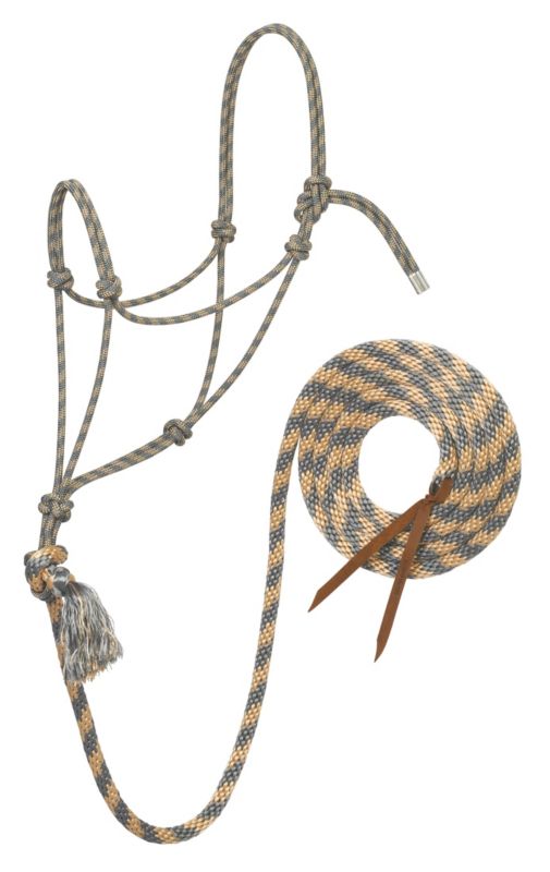 Striped rope halter with matching coiled lead rope attached.