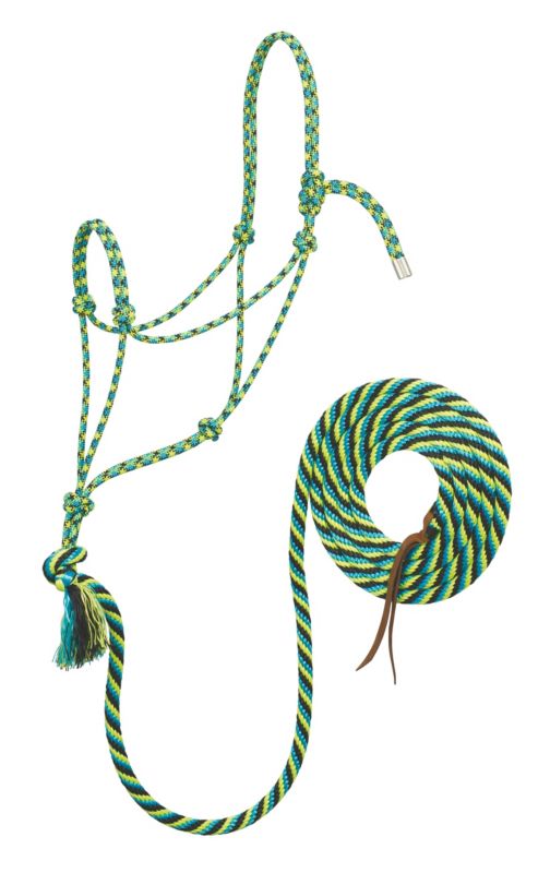 Brightly colored, braided rope halter with coiled lead rope.