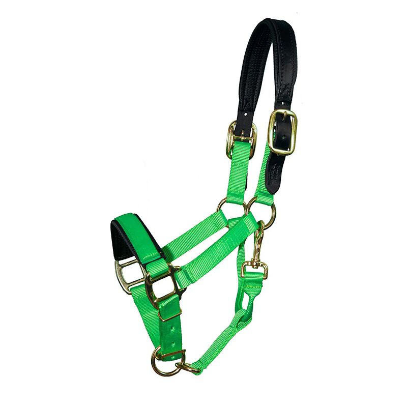 Chafeless Breakaway Halter Cob Lime