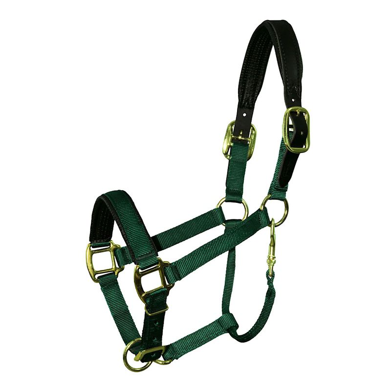 Chafeless Breakaway Halter Cob Lime