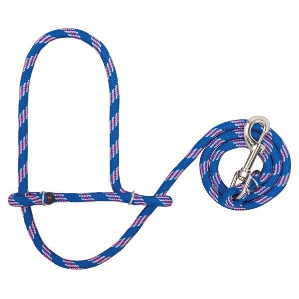 Blue and pink rope halter with attached metal clasp.