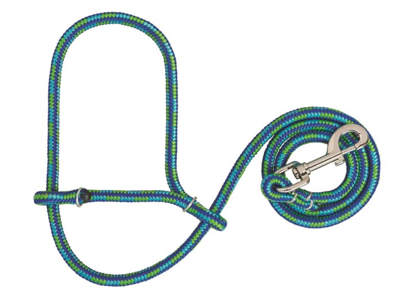 Blue and green rope halter with metal clip attachment.