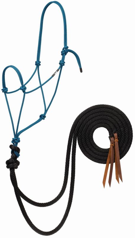 Blue rope halter with black lead rope and leather tassels.