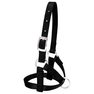 Weaver Leather Alpaca Halter S Black