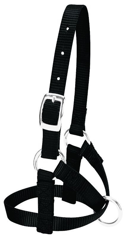 Weaver Leather Alpaca Halter S Black