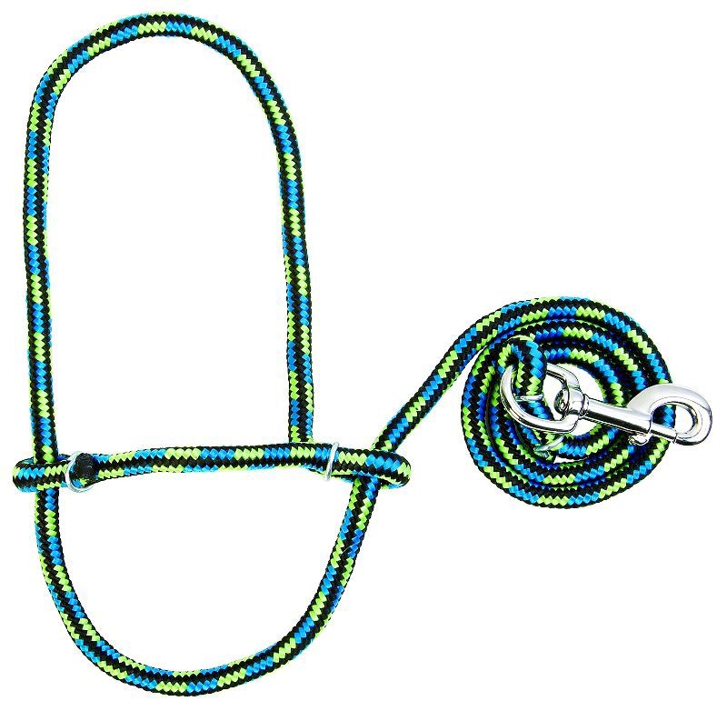 Multicolored rope halter with coiled lead and metal clip.