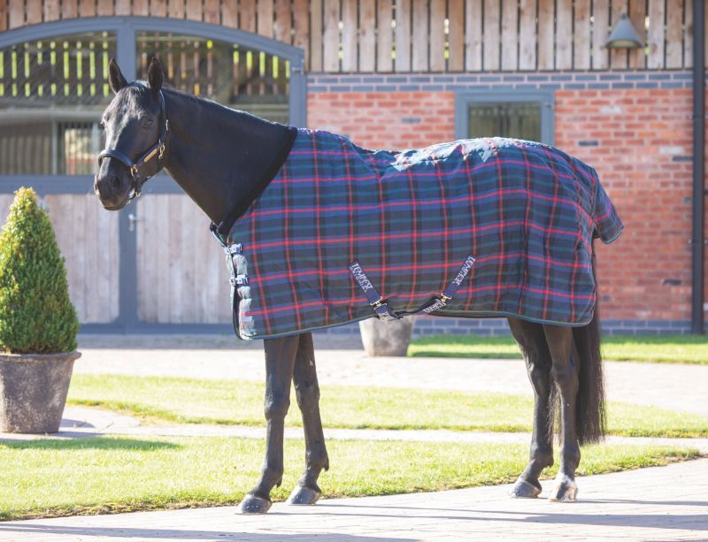 Shires Tempest Plus 100g Stable Blanket 63 Green