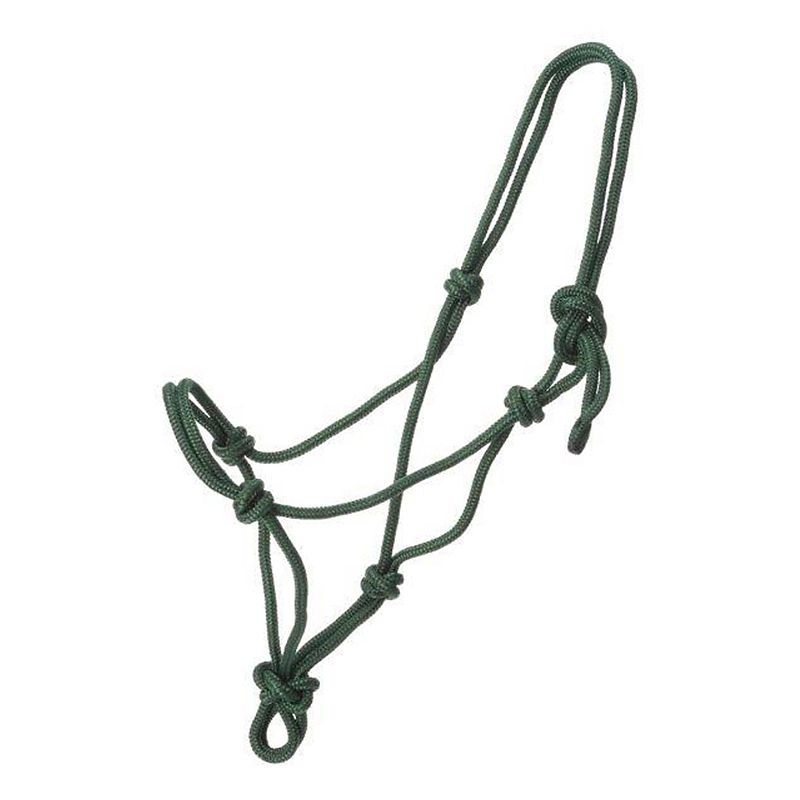 Green rope halter with multiple knots and looped design.