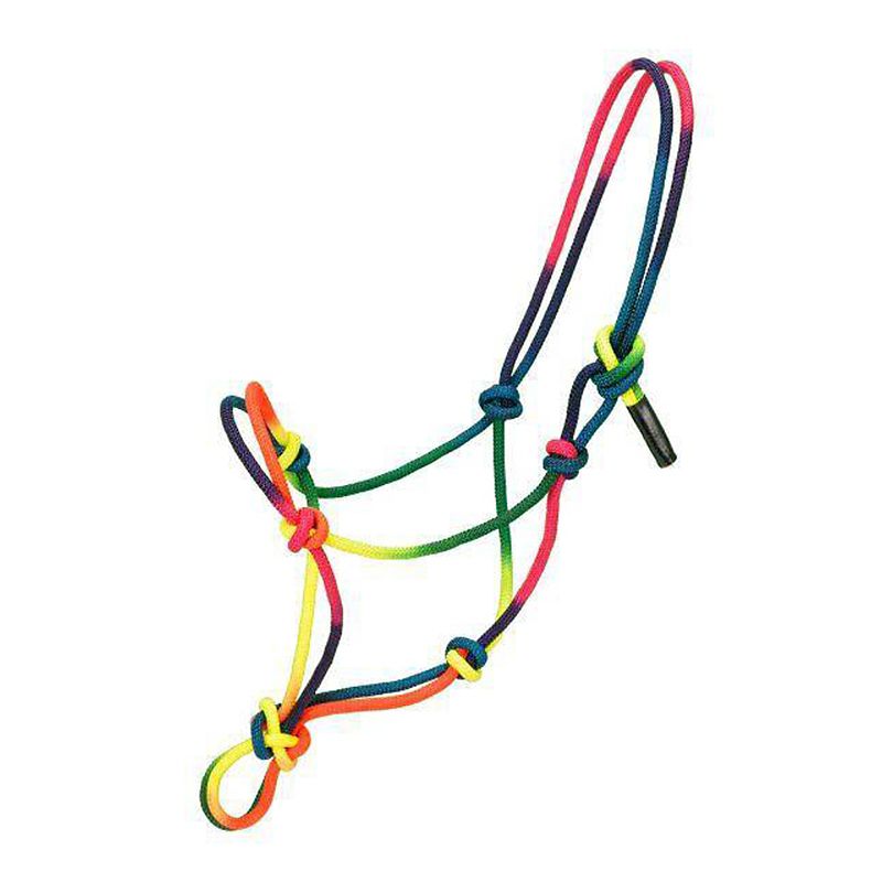 Multicolored rope halter with vibrant knot design for horses.