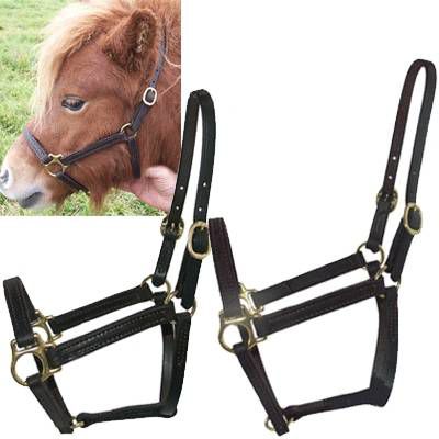 Intrepid Miniature Horse Leather Halter L