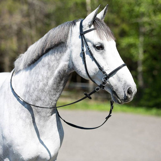 Gray horse wearing a Bitless bridle, standing outdoors.