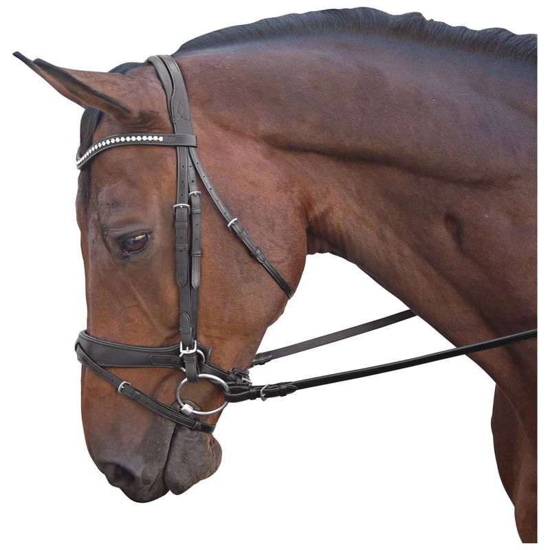 Brown horse wearing a black leather dressage bridle.