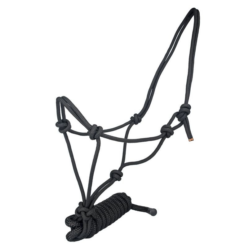 Black rope halter with multiple knots, designed for horses.