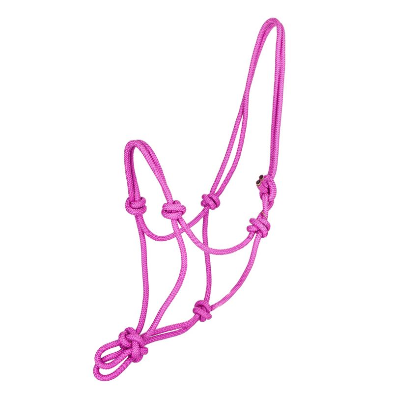 Bright pink rope halter with multiple adjustable knots.