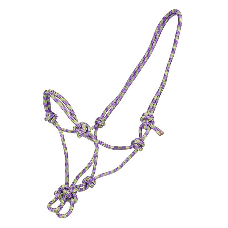 Purple and green braided rope halter with multiple knots.