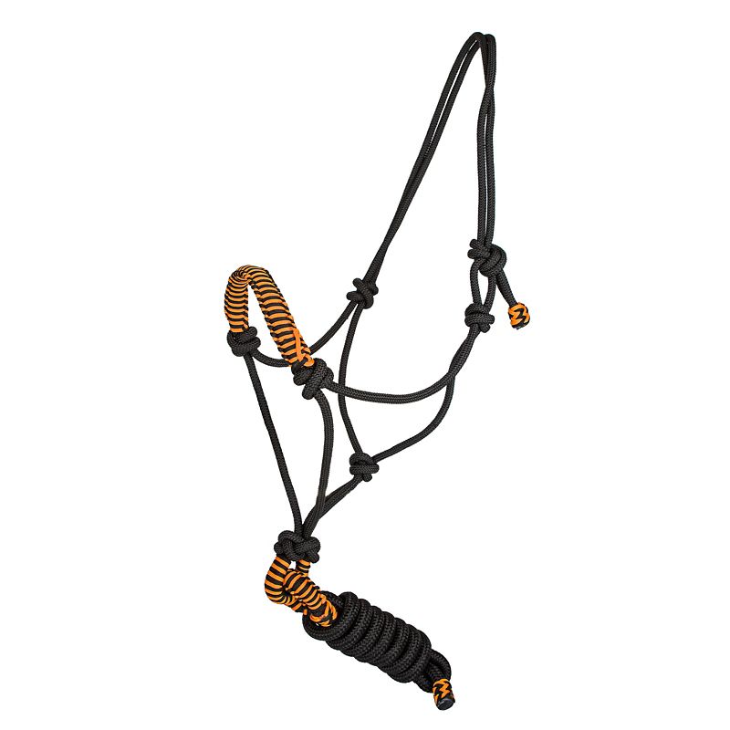 Black and orange rope halter with intricate knot design.