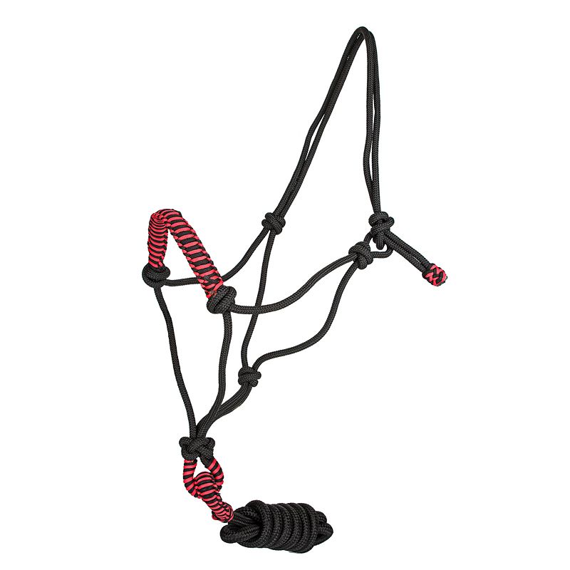 Black and red rope halter with intricate knot design.