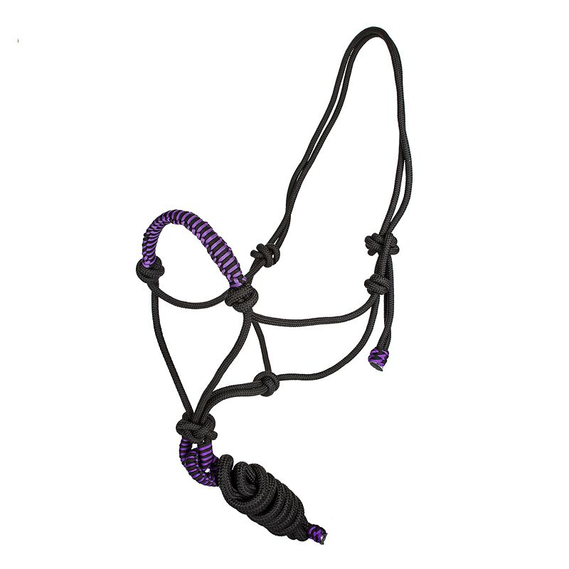 Black and purple rope halter with intricate knots.