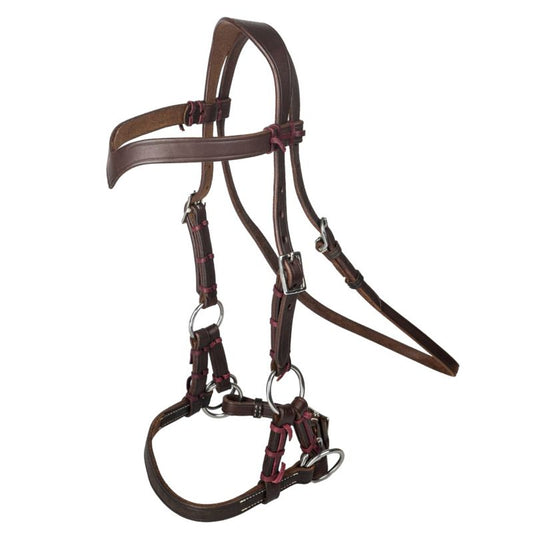 Brown leather Bitless bridle with silver hardware and padding.