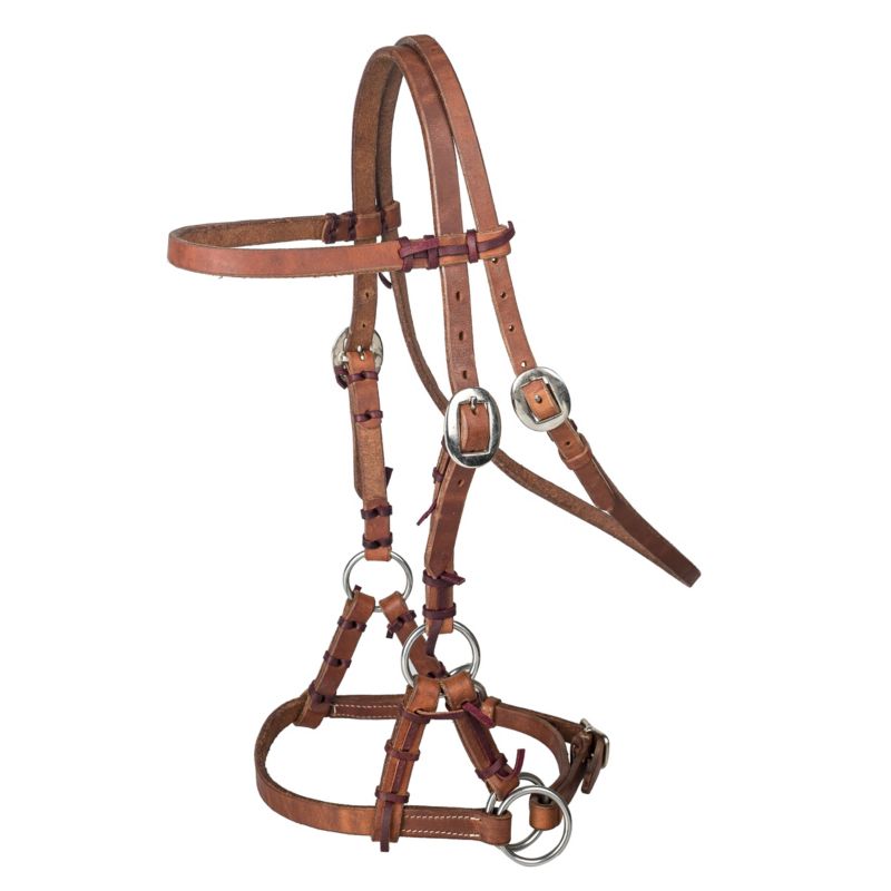 Bitless bridle with brown leather straps and silver buckles.