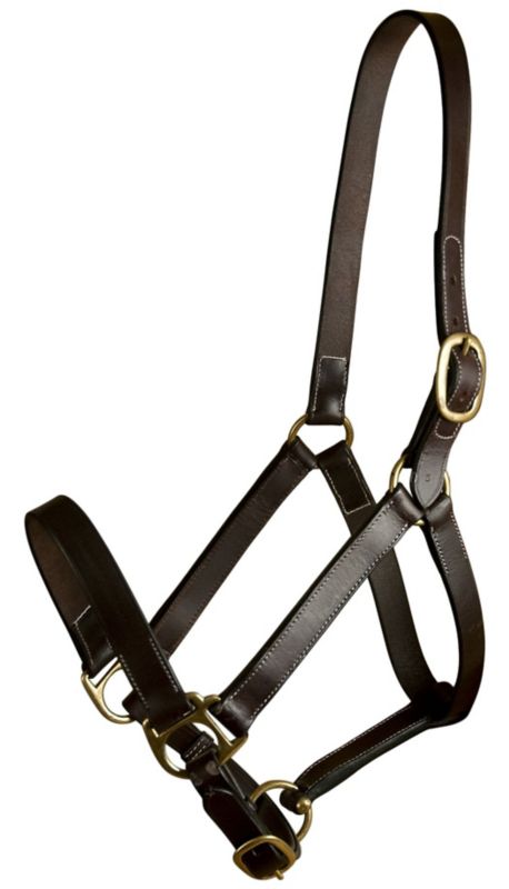 Gatsby Leather Adj TO Halter w/o Snap Oversize