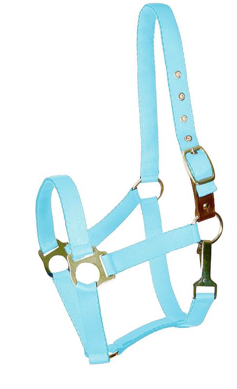 Gatsby Ultra Soft Nylon Safety Halter Pony Blue