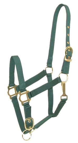 Gatsby Adjustable Nylon Halter w/Snap Pony Hunter