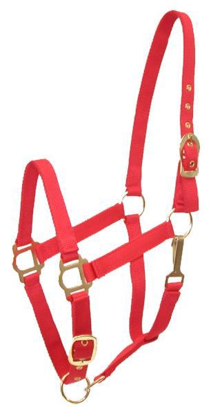 Gatsby Adjustable Nylon Halter w/Snap Pony Red