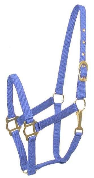 Gatsby Classic Nylon Halter w/Snap Pony Royal Blue