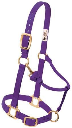 Weaver Original Adj Halter w/Snap Average Purple