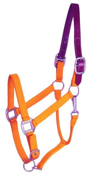 Gatsby Nylon Breakaway Halter w/Snap Cob Orange