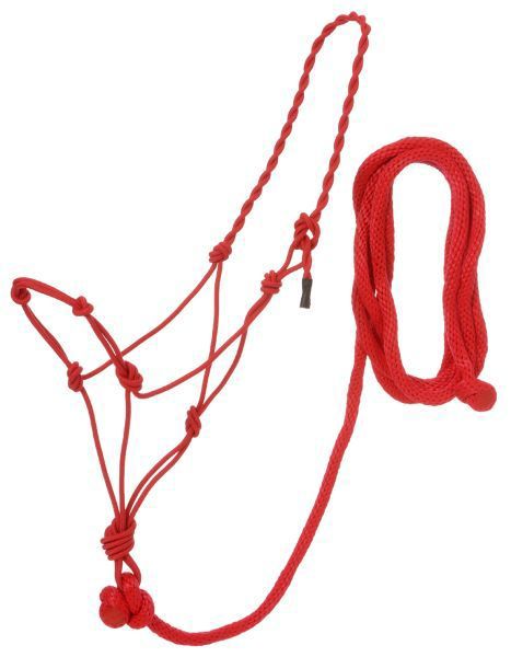 Red rope halter with various knots and loops.